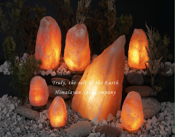 BUILD OR EXPAND YOUR OWN BUSINESS with HIMALAYAN SALT LAMPS 